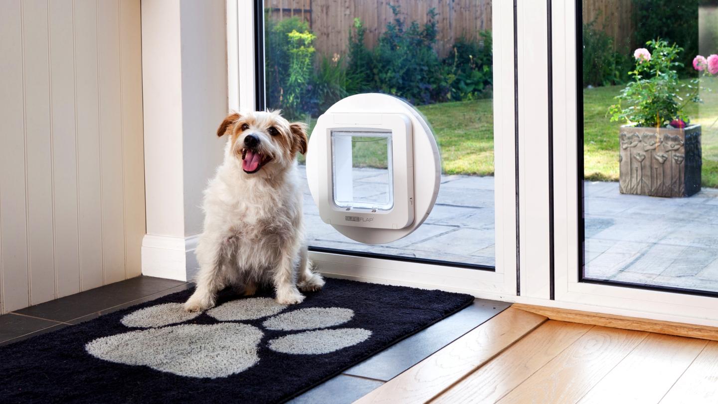 Unleashing Sure Petcare’s CRM potential case study